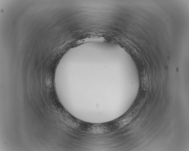 X0000078260608200611251330