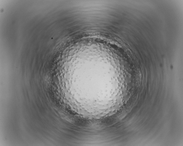 X0000078260609200611251330