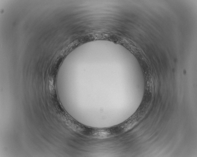 X0000078260610200611251330