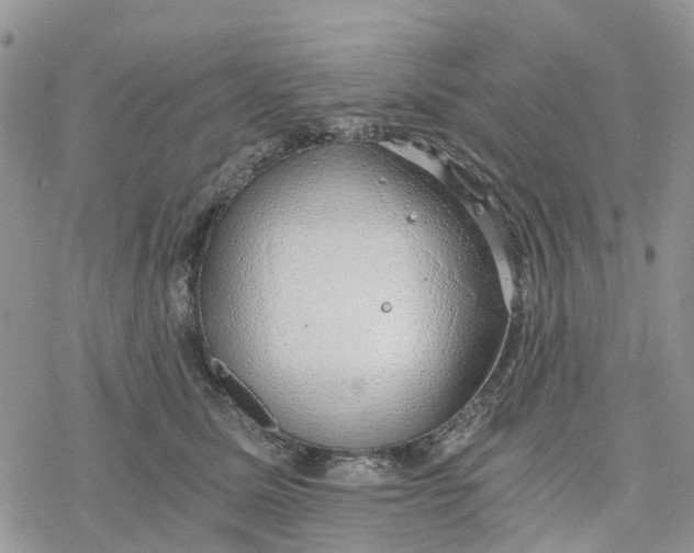 X0000078260611200611251330