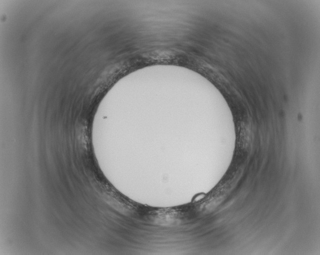 X0000078260612200611251330