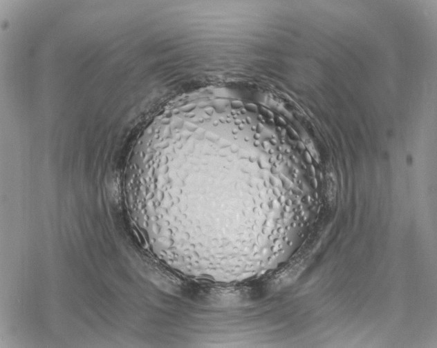 X0000078260613200611251330