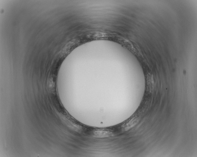 X0000078260614200611251330