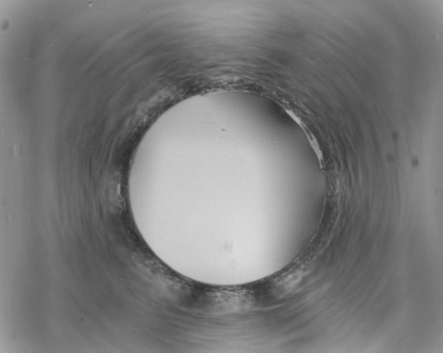 X0000078260615200611251330