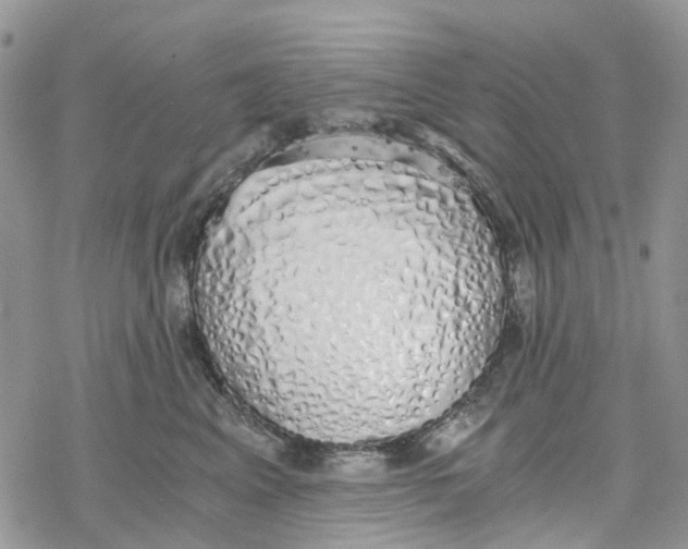 X0000078260617200611251330