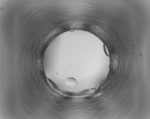 X0000078260619200611251330