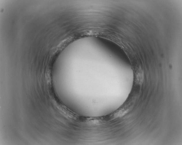 X0000078260620200611251330