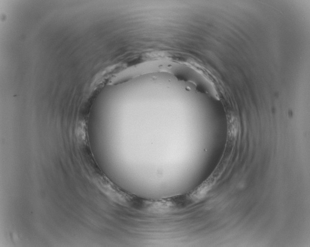 X0000078260621200611251330