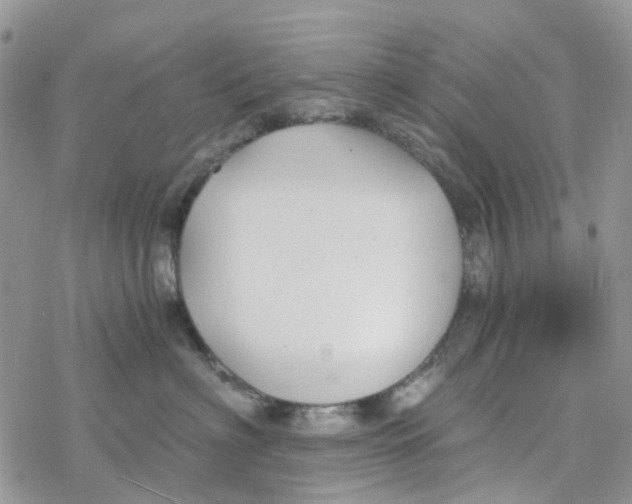 X0000078260622200611251330