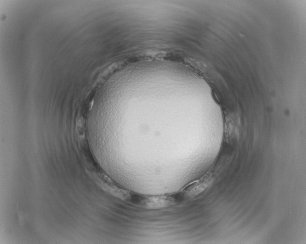 X0000078260623200611251330