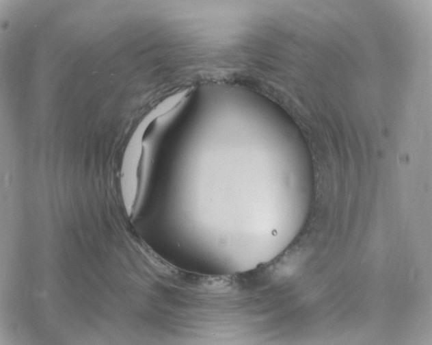 X0000078260624200611251330