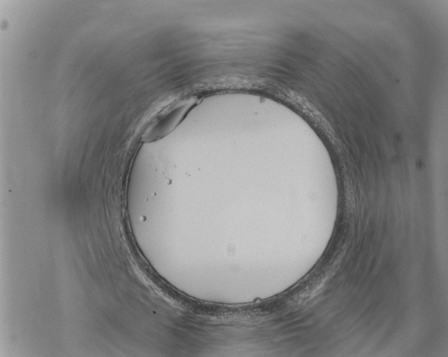 X0000078260625200611251329