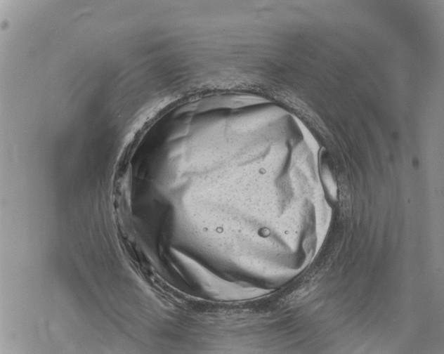 X0000078260626200611251329