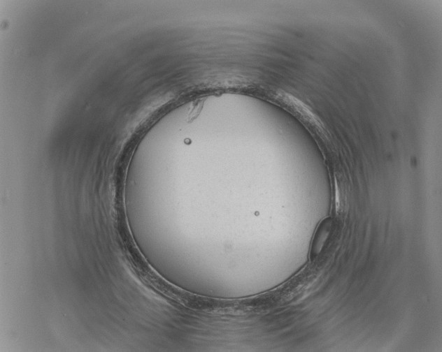 X0000078260627200611251329