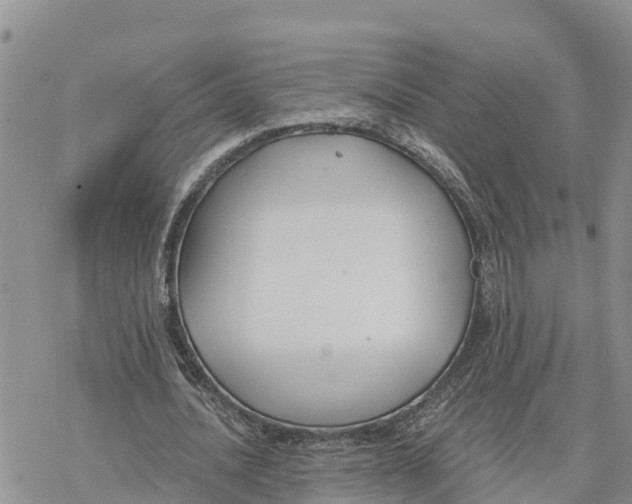 X0000078260628200611251329