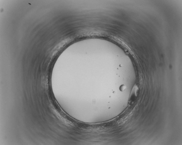 X0000078260629200611251329