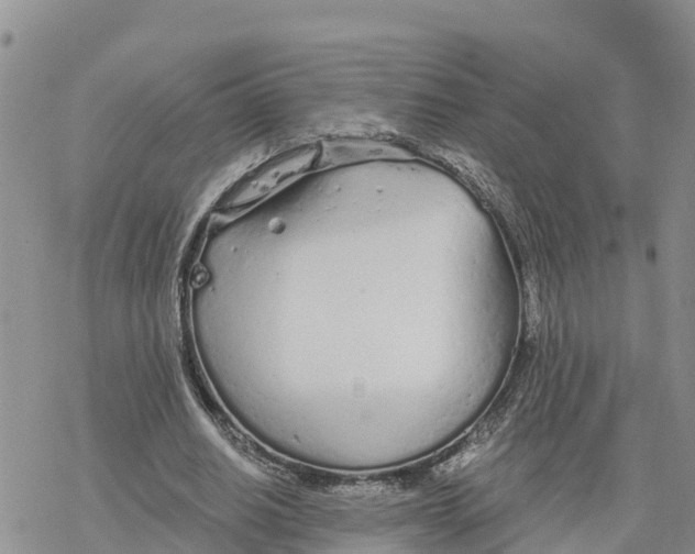 X0000078260630200611251329