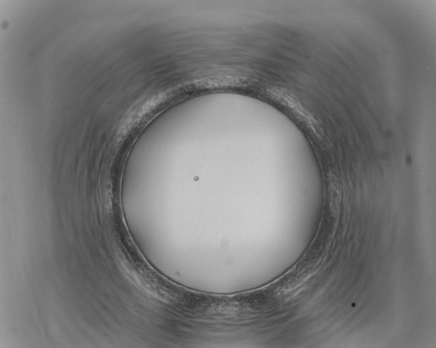 X0000078260631200611251329