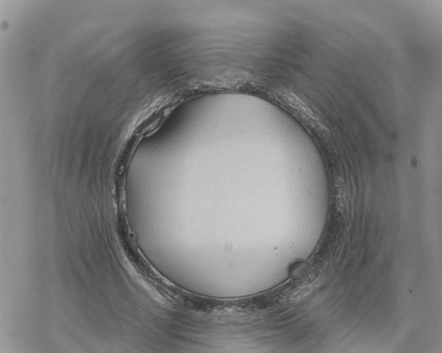 X0000078260634200611251329