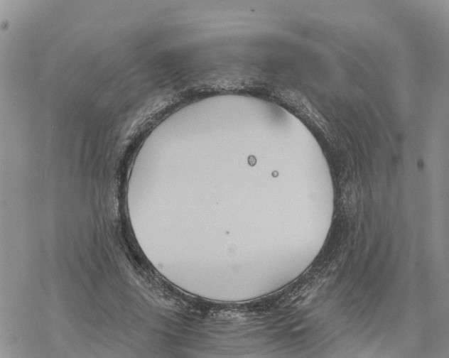 X0000078260635200611251329