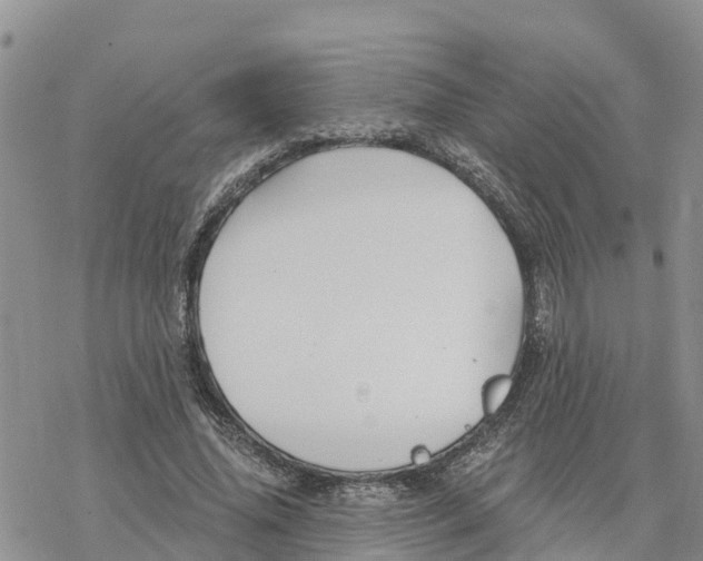 X0000078260636200611251329