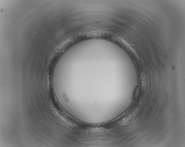 X0000078260637200611251329