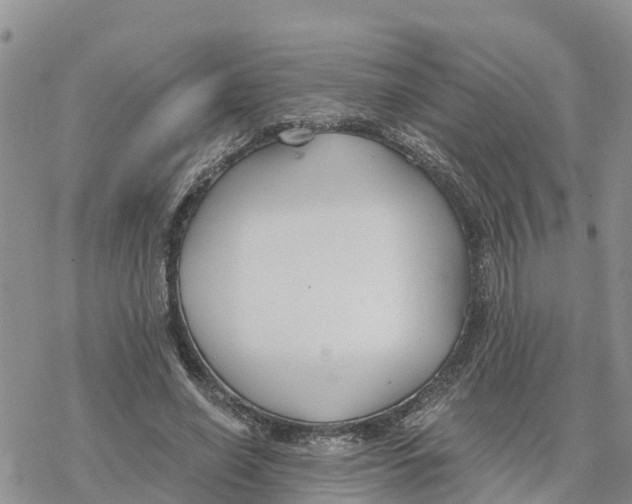 X0000078260638200611251329