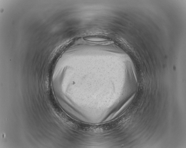 X0000078260640200611251329