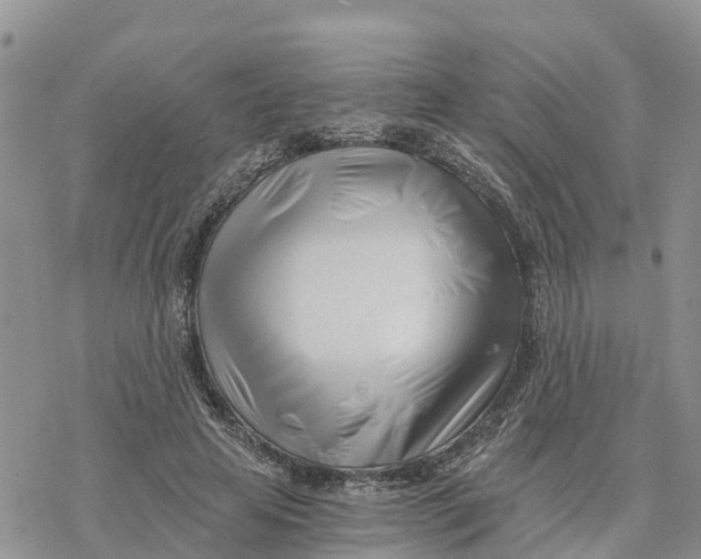 X0000078260641200611251329