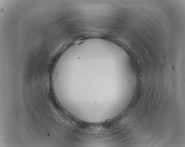 X0000078260642200611251329