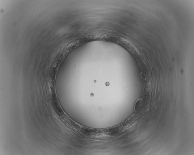 X0000078260643200611251329