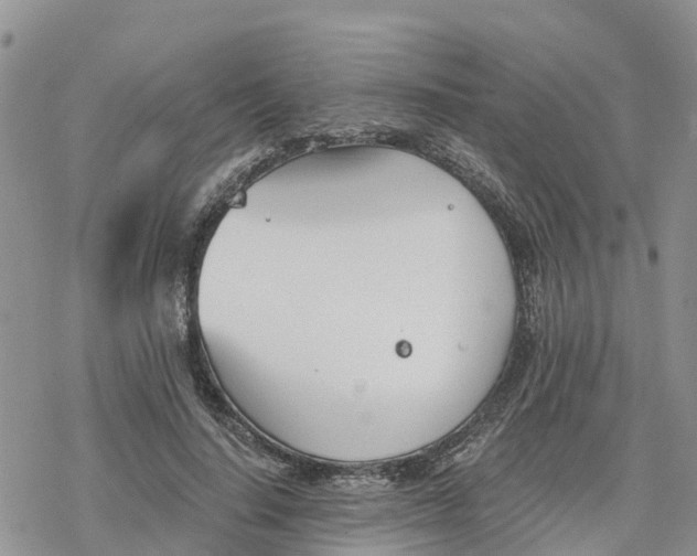 X0000078260644200611251329