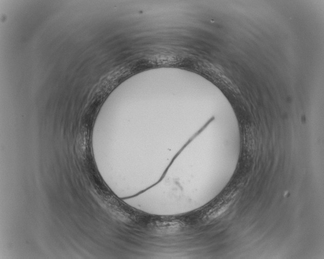 X0000078260645200611251329