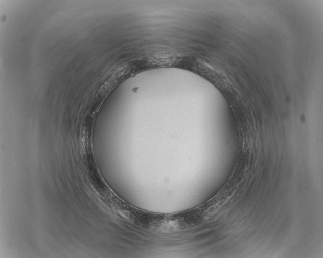 X0000078260647200611251330