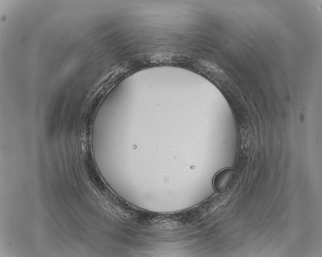 X0000078260648200611251330