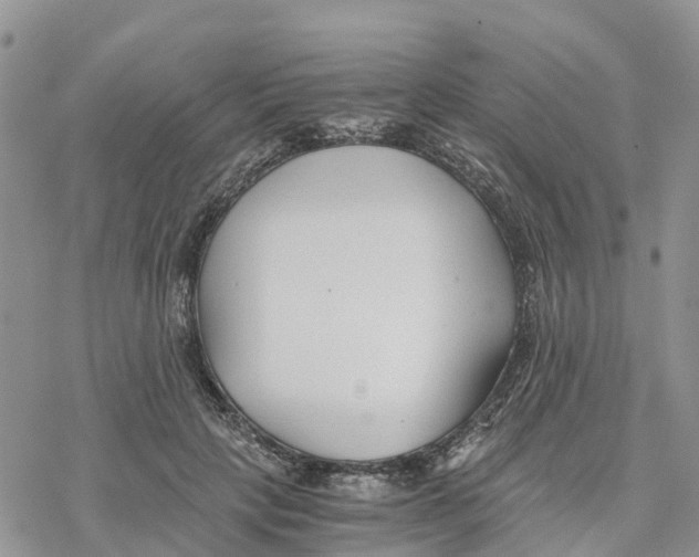 X0000078260649200611251330