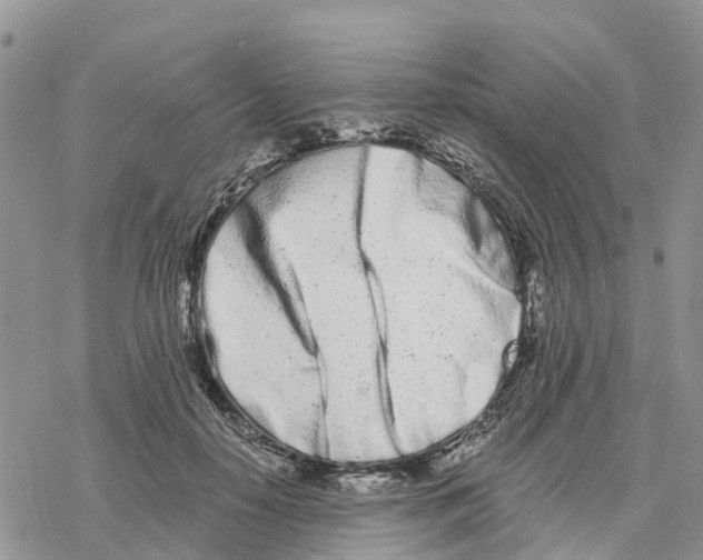 X0000078260650200611251330