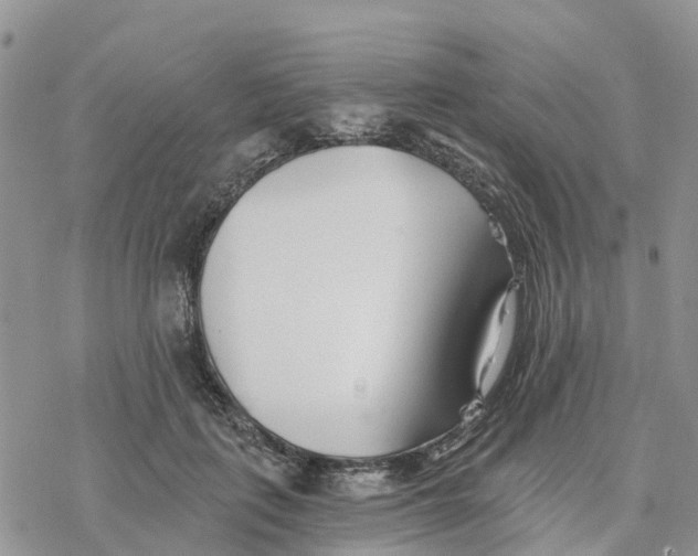 X0000078260651200611251330