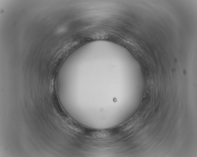 X0000078260652200611251330