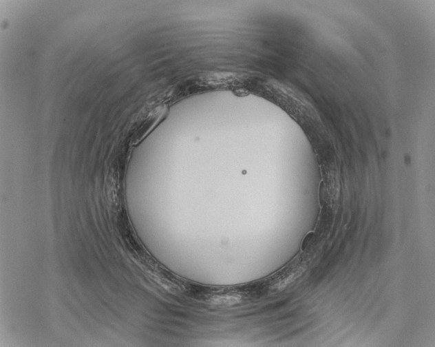 X0000078260653200611251330