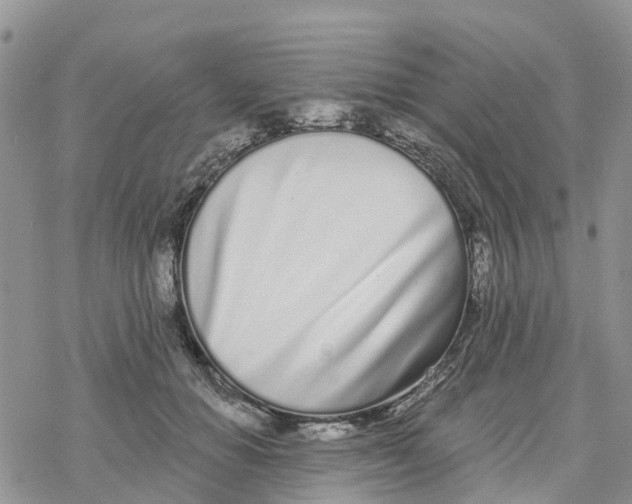 X0000078260654200611251330