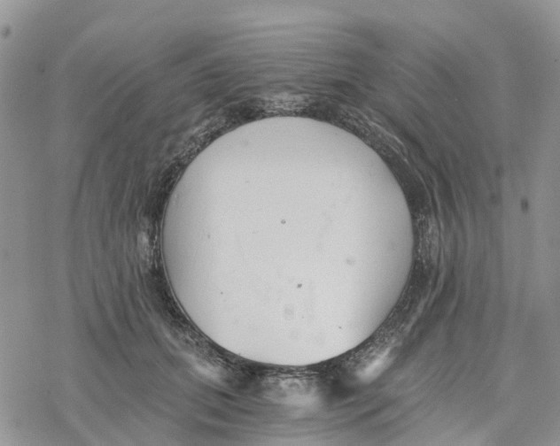 X0000078260655200611251330