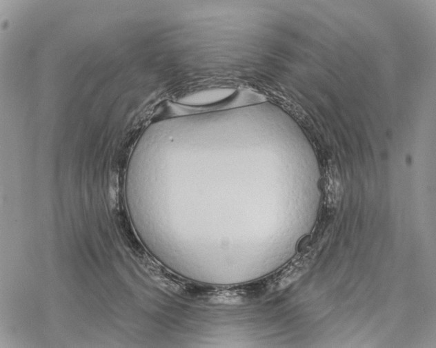 X0000078260656200611251330