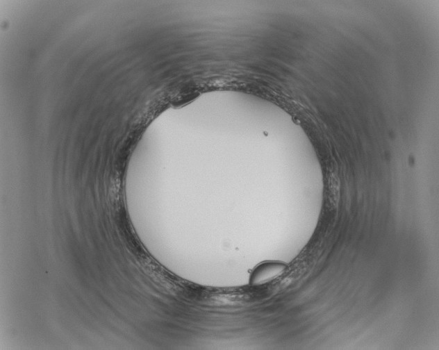 X0000078260657200611251330