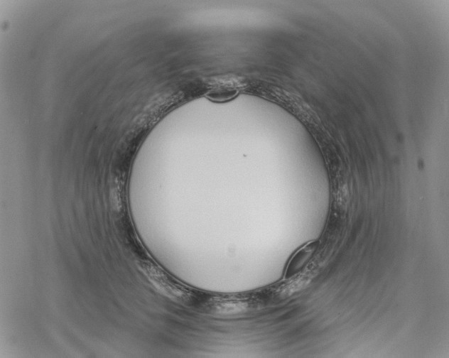 X0000078260658200611251330