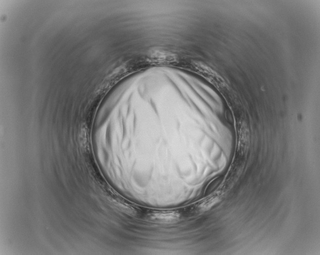 X0000078260659200611251330