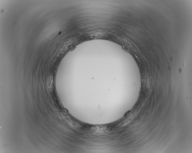 X0000078260660200611251330