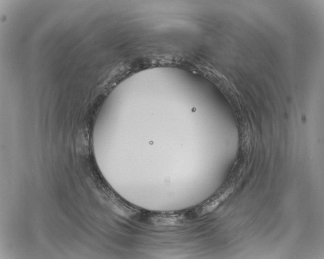 X0000078260661200611251330