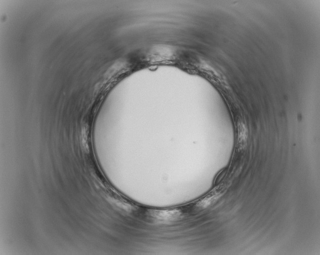 X0000078260663200611251330