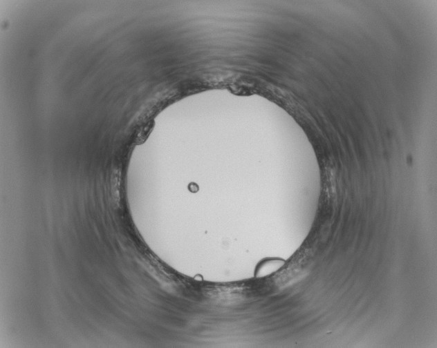 X0000078260664200611251330